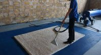 Top 5 Best Carpet And Floor Mat Cleaners