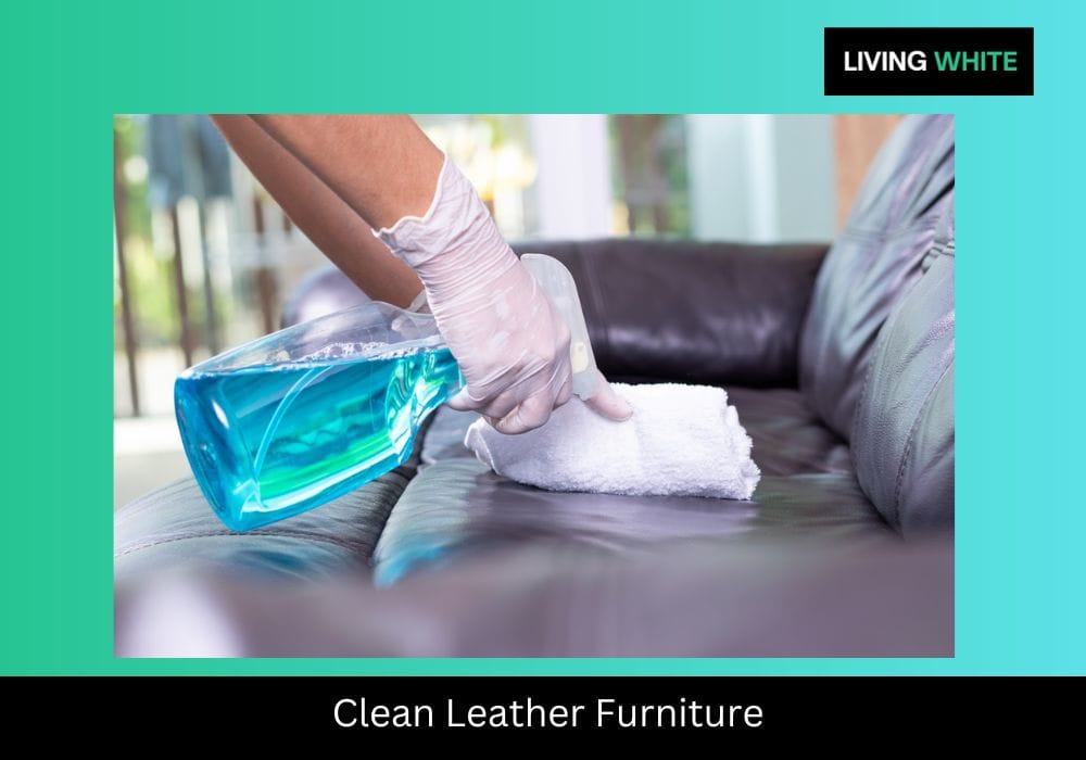 Clean Leather Furniture