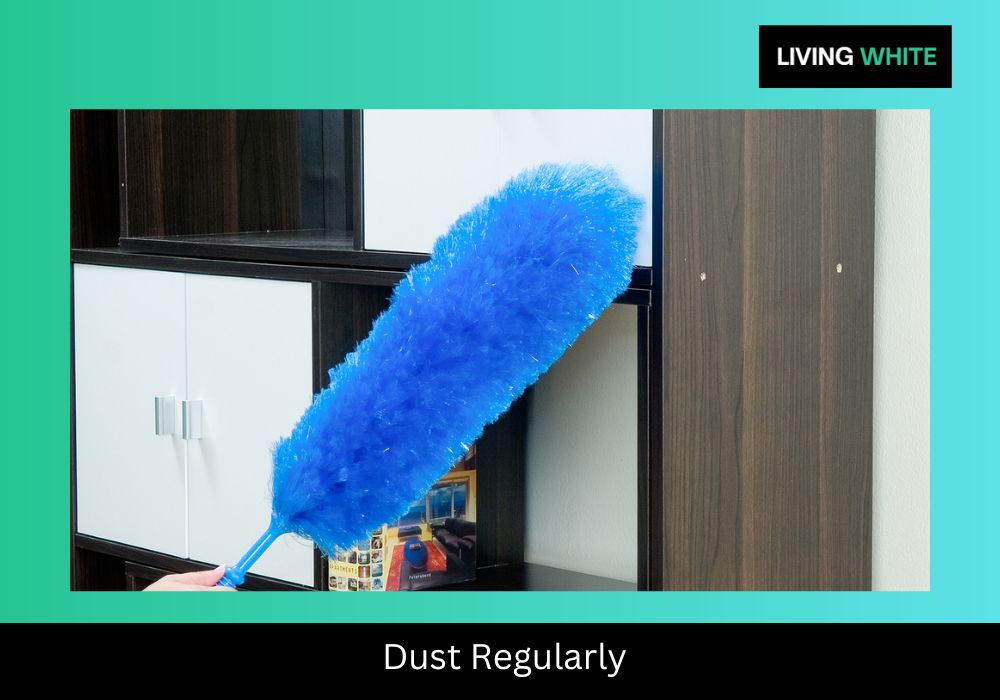Dust Regularly